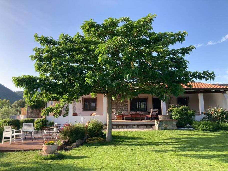Countryside Villa In Sardinia Triei 外观 照片