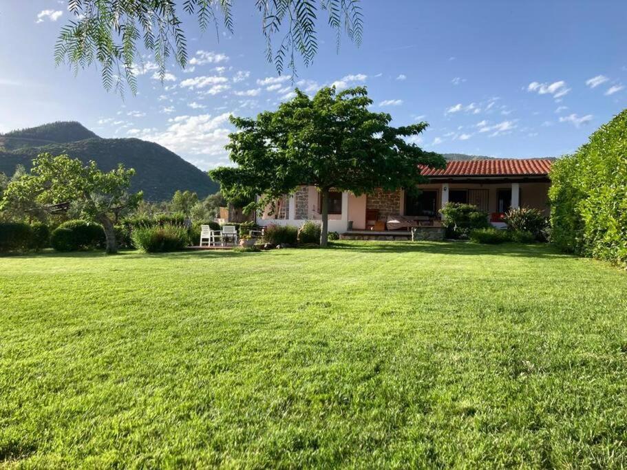 Countryside Villa In Sardinia Triei 外观 照片