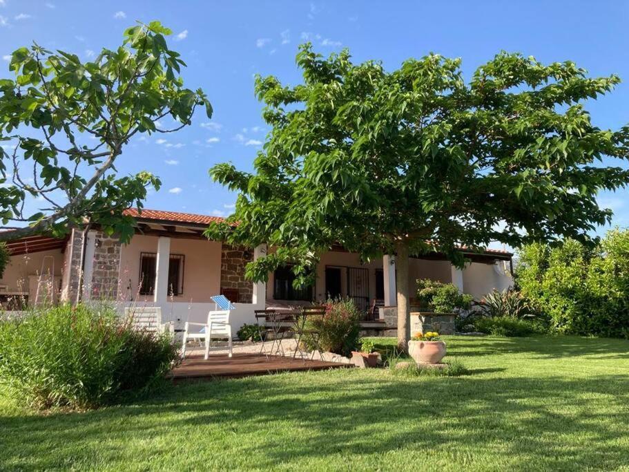 Countryside Villa In Sardinia Triei 外观 照片