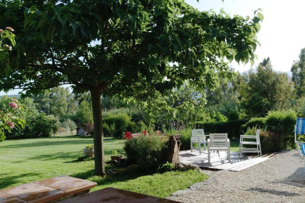 Countryside Villa In Sardinia Triei 外观 照片