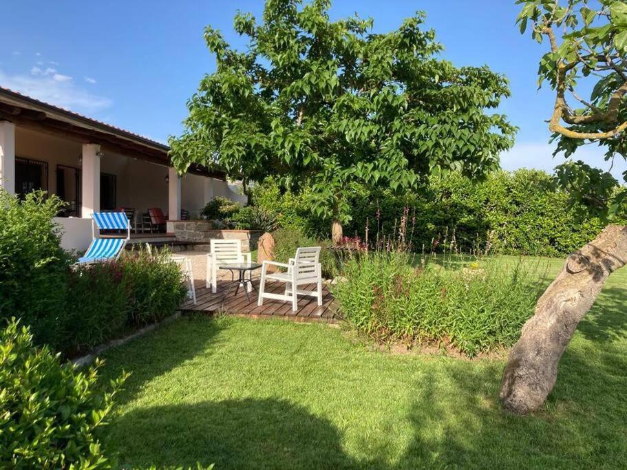 Countryside Villa In Sardinia Triei 外观 照片